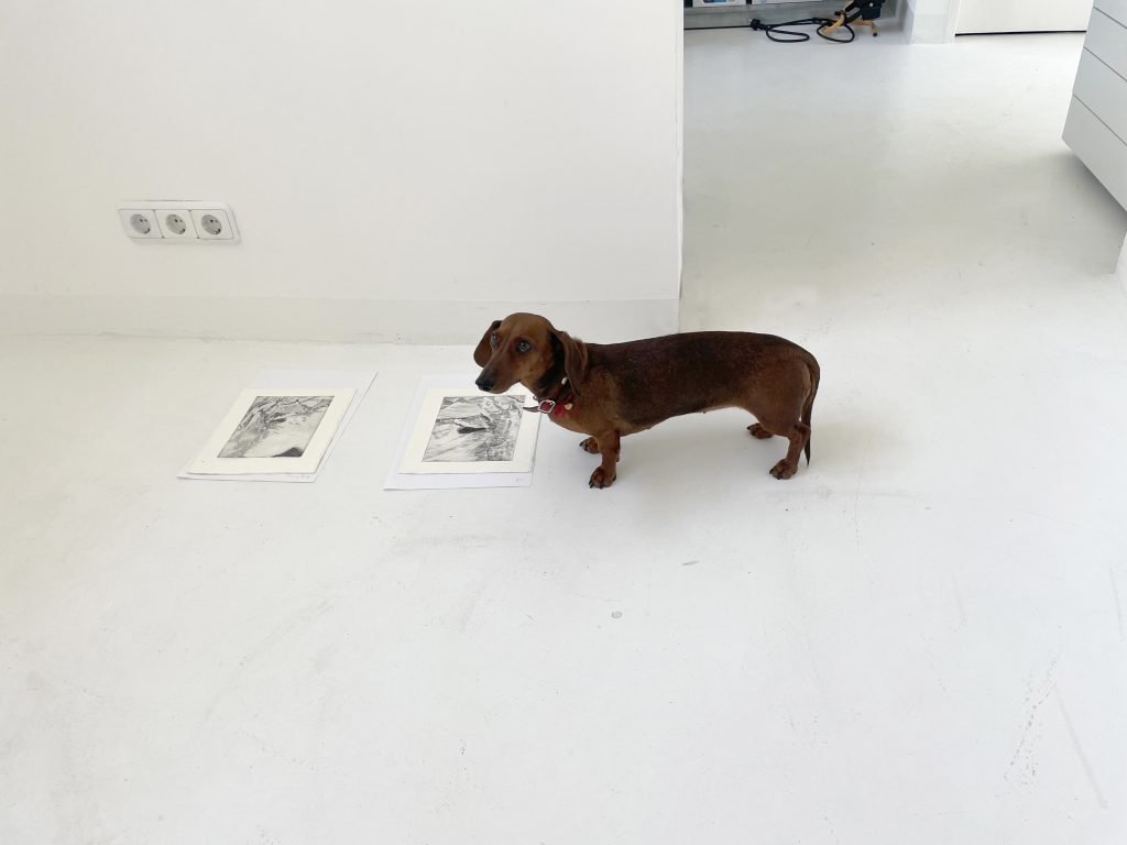 img 3842