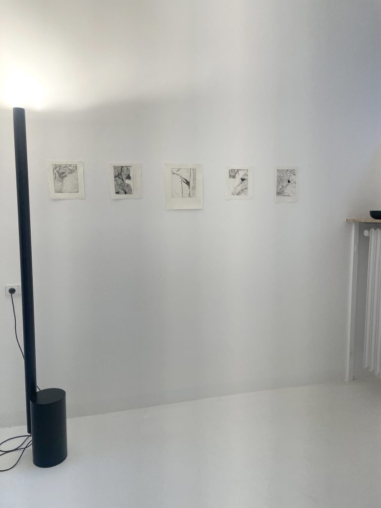 img 3912